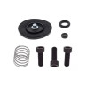 Kit De Reconstrucción De Bomba De Aceleración