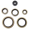 Kit se Sellos de Motor KTM 250XCF-W 2007-09