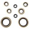 Kit se Sellos de Motor KTM 450 2003-07