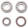 Kit ProX de Rolineras y Sellos de Cigüeñal KTM 250/350